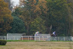 ASCOT, ENGLAND - NOVEMBER 20: A general view as runners race down the side of the track during The Ascot Racecourse Supports Safer Gambling Week Novices' Chase at Ascot Racecourse on November 20, 2020 in Ascot, England. Owners are allowed to attend if they have a runner at the meeting otherwise racing remains behind closed doors to the public due to the Coronavirus pandemic. (Photo by Alan Crowhurst/Getty Images)
