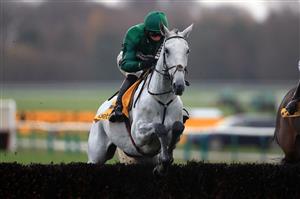 MANCHESTER, ENGLAND - NOVEMBER 21: Bristol De Mai ridden by Daryl Jacob on their way to winning the Betfair Chase at Haydock Park, Merseyside on November 21, 2020 in Manchester, England. (Photo by Mike Egerton - Pool/Getty Images)