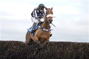 ASCOT, ENGLAND - NOVEMBER 21: David Bass riding Imperial Aura clear the last to win The Chanelle Pharma 1965 Chase at Ascot Racecourse on November 21, 2020 in Ascot, England. Owners are allowed to attend if they have a runner at the meeting otherwise racing remains behind closed doors to the public due to the Coronavirus pandemic. (Photo by Alan Crowhurst/Getty Images)