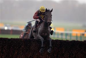 MANCHESTER, ENGLAND - NOVEMBER 21: Dashel Drasher ridden by Jockey Matt Griffiths during the Back And Lay On Betfair Exchange Graduation Chase at Haydock Park, Merseyside on November 21, 2020 in Manchester, England. (Photo by Mike Egerton - Pool/Getty Images)