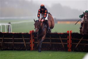 MANCHESTER, ENGLAND - NOVEMBER 21: Do Your Job ridden by Brendan Powell during the Betfair Weighed In Podcast Newton Novices' Hurdle at Haydock Park, Merseyside on November 21, 2020 in Manchester, England. (Photo by Mike Egerton - Pool/Getty Images)