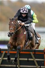 ASCOT, ENGLAND - NOVEMBER 21: James Bowen riding Shang Tang clear the last to win The Coral 'Fail To Finish' Free Bet Novices' Hurdle at Ascot Racecourse on November 21, 2020 in Ascot, England. Owners are allowed to attend if they have a runner at the meeting otherwise racing remains behind closed doors to the public due to the Coronavirus pandemic. (Photo by Alan Crowhurst/Getty Images)