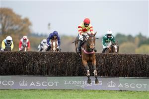 ASCOT, ENGLAND - NOVEMBER 21: Richard Patrick riding Demachine (yellow/red) clear the last to win The Play The Coral 'Racing Super Series' Novices' Limited Handicap Chase at Ascot Racecourse on November 21, 2020 in Ascot, England. Owners are allowed to attend if they have a runner at the meeting otherwise racing remains behind closed doors to the public due to the Coronavirus pandemic. (Photo by Alan Crowhurst/Getty Images)