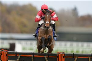 ASCOT, ENGLAND - NOVEMBER 21: Harry Cobden riding Laurina during The Coral Hurdle at Ascot Racecourse on November 21, 2020 in Ascot, England. Owners are allowed to attend if they have a runner at the meeting otherwise racing remains behind closed doors to the public due to the Coronavirus pandemic. (Photo by Alan Crowhurst/Getty Images)