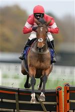 ASCOT, ENGLAND - NOVEMBER 21: Harry Cobden riding Laurina during The Coral Hurdle at Ascot Racecourse on November 21, 2020 in Ascot, England. Owners are allowed to attend if they have a runner at the meeting otherwise racing remains behind closed doors to the public due to the Coronavirus pandemic. (Photo by Alan Crowhurst/Getty Images)