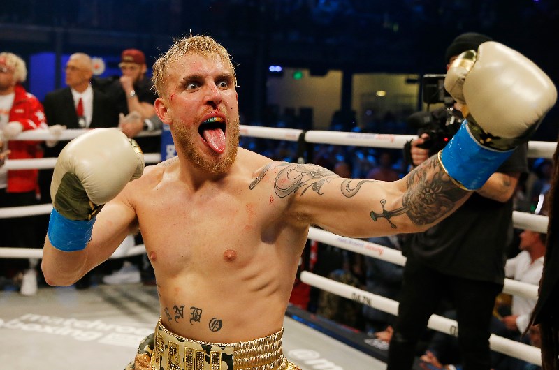 14+ Nate Robinson Vs Jake Paul Poster Pictures