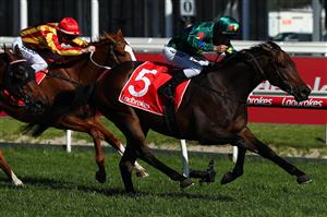 MELBOURNE, AUSTRALIA - SEPTEMBER 29: Jockey Ryan Maloney rides Alligator Blood to win race 5 the Ladbrokes Caulfield Guineas Prelude during Underwood Stakes Day at Caulfield Racecourse on September 29, 2019 in Melbourne, Australia. (Photo by Kelly Defina/Getty Images)