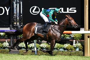 MELBOURNE, AUSTRALIA - FEBRUARY 29: Ryan Maloney riding Alligator Blood wins Race 7 the Kennedy Australian Guineas during Melbourne Racing at Flemington Racecourse on February 29, 2020 in Melbourne, Australia. (Photo by Jack Thomas/Getty Images)
