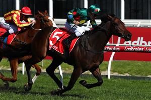 MELBOURNE, AUSTRALIA - SEPTEMBER 29: Jockey Ryan Maloney rides Alligator Blood to win race 5 the Ladbrokes Caulfield Guineas Prelude during Underwood Stakes Day at Caulfield Racecourse on September 29, 2019 in Melbourne, Australia. (Photo by Kelly Defina/Getty Images)