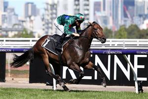 MELBOURNE, AUSTRALIA - FEBRUARY 29: Ryan Maloney riding Alligator Blood wins Race 7 the Kennedy Australian Guineas during Melbourne Racing at Flemington Racecourse on February 29, 2020 in Melbourne, Australia. (Photo by Jack Thomas/Getty Images)