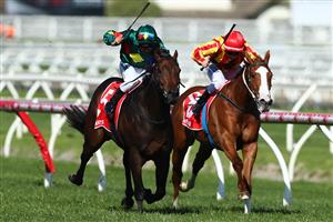 MELBOURNE, AUSTRALIA - SEPTEMBER 29: Jockey Ryan Maloney rides Alligator Blood to win race 5 the Ladbrokes Caulfield Guineas Prelude during Underwood Stakes Day at Caulfield Racecourse on September 29, 2019 in Melbourne, Australia. (Photo by Kelly Defina/Getty Images)