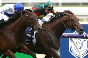 MELBOURNE, AUSTRALIA - FEBRUARY 15: Jockey Ryan Maloney rides Alligator Blood to win race 5 the CS Hayes Stakes during Melbourne Racing at Flemington Racecourse on February 15, 2020 in Melbourne, Australia. (Photo by Kelly Defina/Getty Images)