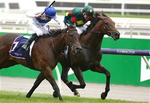 MELBOURNE, AUSTRALIA - FEBRUARY 15: Jockey Ryan Maloney rides Alligator Blood to win race 5 the CS Hayes Stakes during Melbourne Racing at Flemington Racecourse on February 15, 2020 in Melbourne, Australia. (Photo by Kelly Defina/Getty Images)