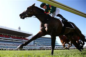 MELBOURNE, AUSTRALIA - FEBRUARY 29: Ryan Maloney riding Alligator Blood wins Race 7 the Kennedy Australian Guineas during Melbourne Racing at Flemington Racecourse on February 29, 2020 in Melbourne, Australia. (Photo by Jack Thomas/Getty Images)