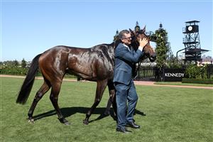 MELBOURNE, AUSTRALIA - FEBRUARY 29: Trainer David Vandyke celebrates with Alligator Blood after victory in Race 7 the Kennedy Australian Guineas during Melbourne Racing at Flemington Racecourse on February 29, 2020 in Melbourne, Australia. (Photo by Jack Thomas/Getty Images)