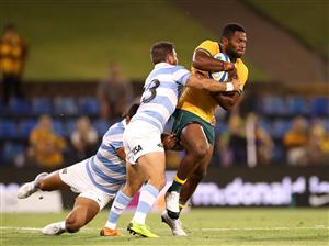 NEWCASTLE, AUSTRALIA - NOVEMBER 21: Filipo Daugunu of the Wallabies in action during the 2020 Tri-Nations match between the Australian Wallabies and the Argentina Pumas at McDonald Jones Stadium on November 21, 2020 in Newcastle, Australia. (Photo by Mark Kolbe/Getty Images)