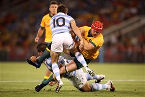 NEWCASTLE, AUSTRALIA - NOVEMBER 21: Harry Wilson of the Wallabies is tackled during the 2020 Tri-Nations match between the Australian Wallabies and the Argentina Pumas at McDonald Jones Stadium on November 21, 2020 in Newcastle, Australia. (Photo by Mark Kolbe/Getty Images)