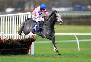 WETHERBY, UNITED KINGDOM - NOVEMBER 25: Mr Shady ridden by jockey Ryan Mania clears the last fence on the way to finishing second in the wetherbyracing.co.uk Juvenile Maiden Hurdle (Northern Lights Juvenile Series Qualifier) (GBB Race) at Wetherby Racecourse on November 25, 2020 in Wetherby, England. (Photo by Mike Egerton - Pool/Getty Images)