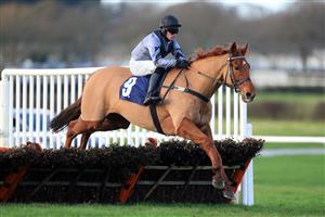 WETHERBY, UNITED KINGDOM - NOVEMBER 25: Mister Flemington ridden by jockey Richie McLernon clear a fence during the Follow @racingtv On Twitter Novices' Hurdle (GBB Race) at Wetherby Racecourse on November 25, 2020 in Wetherby, England. (Photo by Mike Egerton - Pool/Getty Images)
