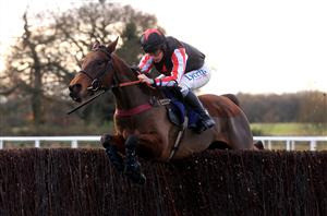 WETHERBY, UNITED KINGDOM - NOVEMBER 25: Funambule Sivola ridden by jockey Charlie Deutsch clear a fence on the way to winning the Watch Racing TV Anywhere Novices' Handicap Chase (GBB Race) at Wetherby Racecourse on November 25, 2020 in Wetherby, England. (Photo by Mike Egerton - Pool/Getty Images)