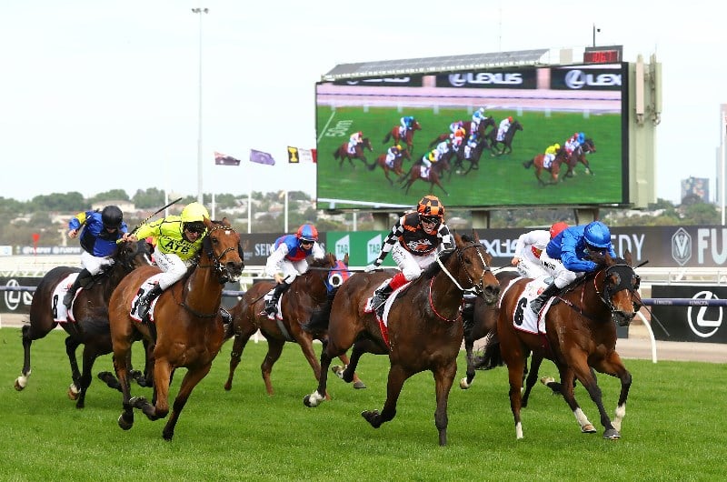 melbourne cup