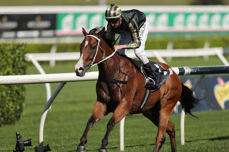 Big Bets for 28.11.2020