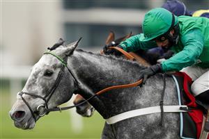 NEWBURY, ENGLAND - NOVEMBER 27: Daryl Jacob riding Caribean Boy (green) clear the last to win The Ladbrokes Committed To Safer Gambling Novices' Chase at Newbury Racecourse on November 27, 2020 in Newbury, England. Owners are allowed to attend if they have a runner at the meeting otherwise racing remains behind closed doors to the public due to the Coronavirus pandemic. (Photo by Alan Crowhurst/Getty Images)