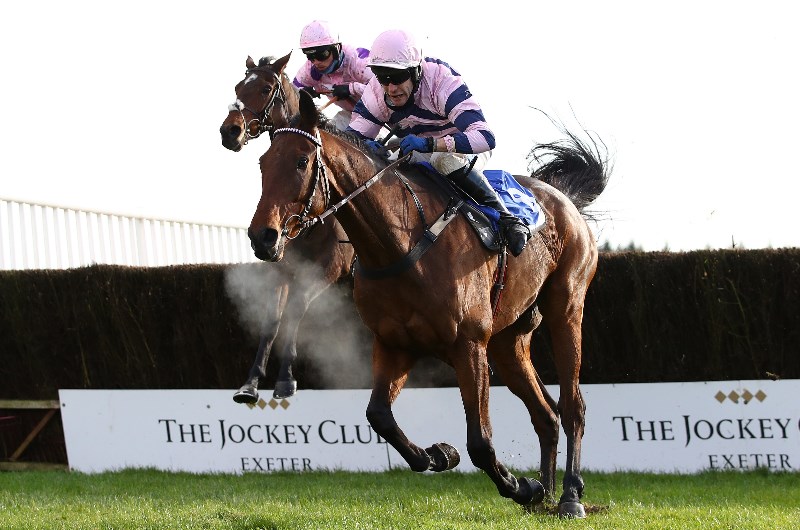 haldon gold cup