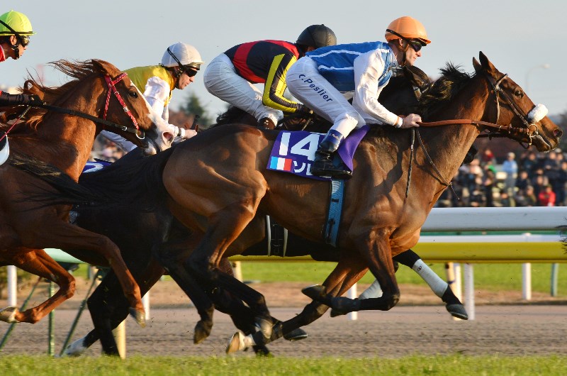 tokyo racecourse