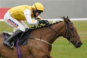 NEWBURY, ENGLAND - NOVEMBER 28: Jack Quinlan riding Pink Sheets clear the last to win The Play Ladbrokes 5-A-Side On Football Mares' Novices' Hurdle at Newbury Racecourse on November 28, 2020 in Newbury, England. Owners are allowed to attend if they have a runner at the meeting otherwise racing remains behind closed doors to the public due to the Coronavirus pandemic. (Photo by Alan Crowhurst/Getty Images)