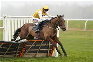 NEWBURY, ENGLAND - NOVEMBER 28: Jack Quinlan riding Pink Sheets clear the last to win The Play Ladbrokes 5-A-Side On Football Mares' Novices' Hurdle at Newbury Racecourse on November 28, 2020 in Newbury, England. Owners are allowed to attend if they have a runner at the meeting otherwise racing remains behind closed doors to the public due to the Coronavirus pandemic. (Photo by Alan Crowhurst/Getty Images)