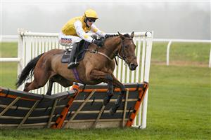 NEWBURY, ENGLAND - NOVEMBER 28: Jack Quinlan riding Pink Sheets clear the last to win The Play Ladbrokes 5-A-Side On Football Mares' Novices' Hurdle at Newbury Racecourse on November 28, 2020 in Newbury, England. Owners are allowed to attend if they have a runner at the meeting otherwise racing remains behind closed doors to the public due to the Coronavirus pandemic. (Photo by Alan Crowhurst/Getty Images)