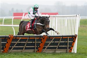 NEWBURY, ENGLAND - NOVEMBER 28: Jeremiah McGrath riding Floressa clear the last to win The Ladbrokes Committed To Safer Gambling Intermediate Hurdle at Newbury Racecourse on November 28, 2020 in Newbury, England. Owners are allowed to attend if they have a runner at the meeting otherwise racing remains behind closed doors to the public due to the Coronavirus pandemic. (Photo by Alan Crowhurst/Getty Images)