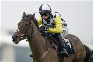 NEWBURY, ENGLAND - NOVEMBER 28: Harry Cobden riding Next Destination clear the last to win The Ladbrokes John Francome Novices' Chase at Newbury Racecourse on November 28, 2020 in Newbury, England. Owners are allowed to attend if they have a runner at the meeting otherwise racing remains behind closed doors to the public due to the Coronavirus pandemic. (Photo by Alan Crowhurst/Getty Images)