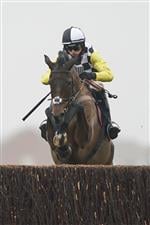 NEWBURY, ENGLAND - NOVEMBER 28: Harry Cobden riding Next Destination clear the last to win The Ladbrokes John Francome Novices' Chase at Newbury Racecourse on November 28, 2020 in Newbury, England. Owners are allowed to attend if they have a runner at the meeting otherwise racing remains behind closed doors to the public due to the Coronavirus pandemic. (Photo by Alan Crowhurst/Getty Images)