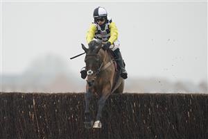 NEWBURY, ENGLAND - NOVEMBER 28: Harry Cobden riding Next Destination clear the last to win The Ladbrokes John Francome Novices' Chase at Newbury Racecourse on November 28, 2020 in Newbury, England. Owners are allowed to attend if they have a runner at the meeting otherwise racing remains behind closed doors to the public due to the Coronavirus pandemic. (Photo by Alan Crowhurst/Getty Images)