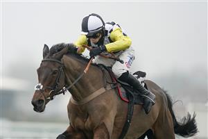 NEWBURY, ENGLAND - NOVEMBER 28: Harry Cobden riding Next Destination clear the last to win The Ladbrokes John Francome Novices' Chase at Newbury Racecourse on November 28, 2020 in Newbury, England. Owners are allowed to attend if they have a runner at the meeting otherwise racing remains behind closed doors to the public due to the Coronavirus pandemic. (Photo by Alan Crowhurst/Getty Images)