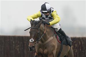 NEWBURY, ENGLAND - NOVEMBER 28: Harry Cobden riding Next Destination clear the last to win The Ladbrokes John Francome Novices' Chase at Newbury Racecourse on November 28, 2020 in Newbury, England. Owners are allowed to attend if they have a runner at the meeting otherwise racing remains behind closed doors to the public due to the Coronavirus pandemic. (Photo by Alan Crowhurst/Getty Images)