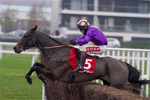 NEWBURY, ENGLAND - NOVEMBER 28: Richard Johnson riding Zanza clear the last to win The Watch Racing Free Online At Ladbrokes Handicap Chase at Newbury Racecourse on November 28, 2020 in Newbury, England. Owners are allowed to attend if they have a runner at the meeting otherwise racing remains behind closed doors to the public due to the Coronavirus pandemic. (Photo by Alan Crowhurst/Getty Images)