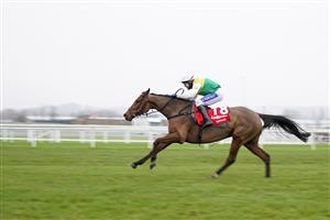 NEWBURY, ENGLAND - NOVEMBER 28: Tom Scudamore riding Cloth Cap clear the last to win The Ladbrokes Trophy Chase at Newbury Racecourse on November 28, 2020 in Newbury, England. Owners are allowed to attend if they have a runner at the meeting otherwise racing remains behind closed doors to the public due to the Coronavirus pandemic. (Photo by Alan Crowhurst/Getty Images)