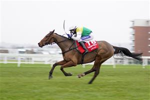 NEWBURY, ENGLAND - NOVEMBER 28: Tom Scudamore riding Cloth Cap clear the last to win The Ladbrokes Trophy Chase at Newbury Racecourse on November 28, 2020 in Newbury, England. Owners are allowed to attend if they have a runner at the meeting otherwise racing remains behind closed doors to the public due to the Coronavirus pandemic. (Photo by Alan Crowhurst/Getty Images)
