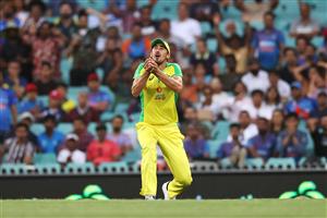 SYDNEY, AUSTRALIA - NOVEMBER 29: Mitchell Starc of Australia catches Shikhar Dhawan of India off a delivery by Josh Hazlewood of Australia during game two of the One Day International series between Australia and India at Sydney Cricket Ground on November 29, 2020 in Sydney, Australia. (Photo by Cameron Spencer/Getty Images)
