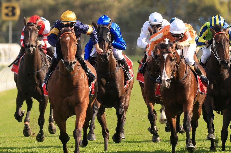 Big Bets Results from 28.11.2020