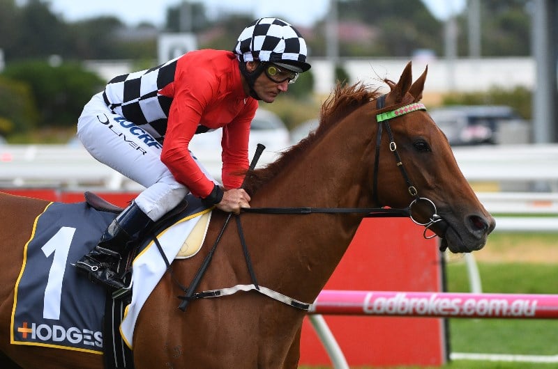 Kingston Town Classic Tips