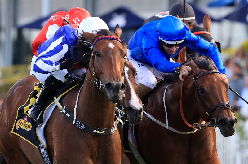 Rosehill Blackbookers for 28.11.2020