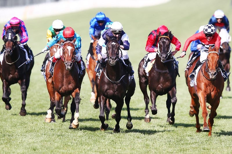 Kingston Town Classic Barrier Draw