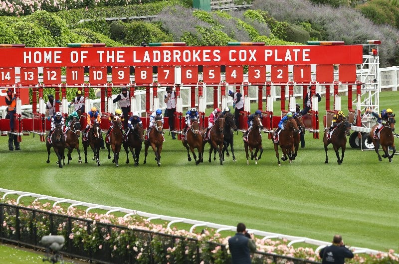 Ladbrokes Same Race Multi