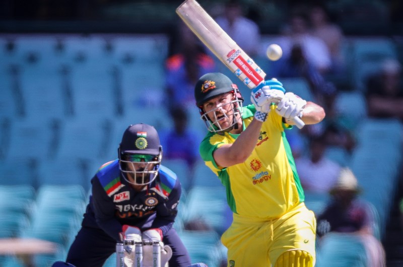 Aaron Finch batting