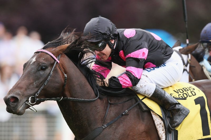 ryan maloney jockey