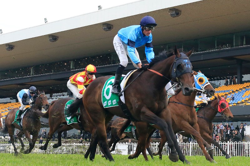 Rosehill Tips for 05.12.2020